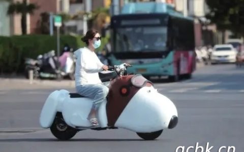 史努比电动车能上路吗