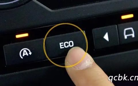 eco是什么意思