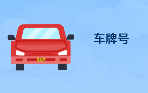 黄牌照和蓝牌照的区别是什么