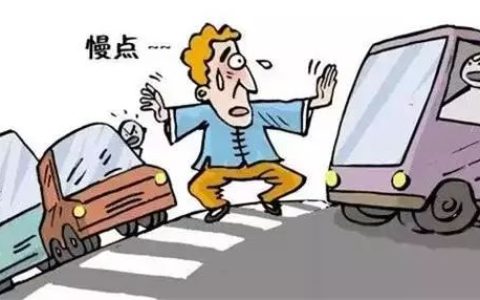 停车让行标志没停车出了事故谁的责任
