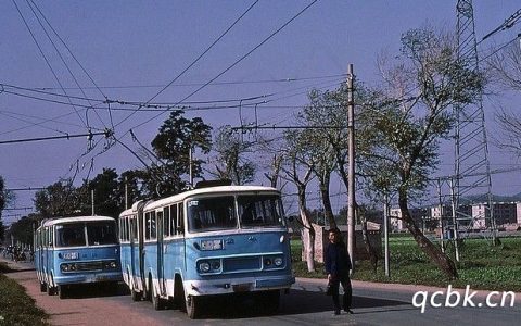 n照可以开什么车型