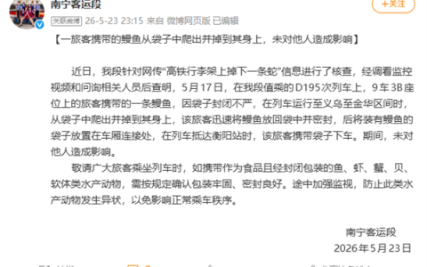 虚惊一场！网传高铁行李架上掉下蛇 官方辟谣：其实是鳗鱼