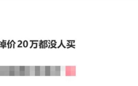 车行老板说油车掉价20万都没人买：还在拼命收油车 被自己气笑了