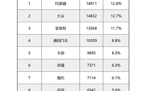 干掉大众、丰田！比亚迪登顶巴西汽车销冠 连总统都是比亚迪车主