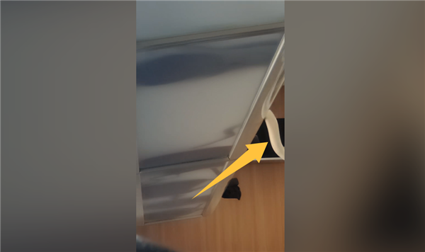 虚惊一场!网传高铁行李架上掉下蛇 官方辟谣:其实是鳗鱼