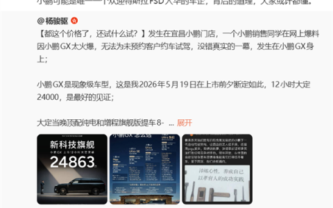 小鹏副总裁：小鹏可能是唯一欢迎特斯拉FSD入华的车企