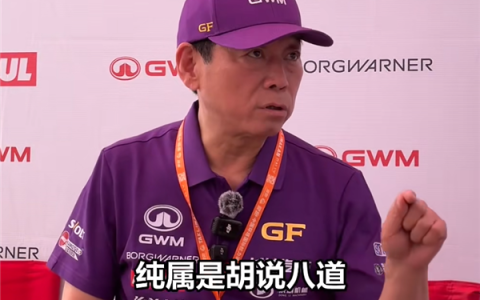 魏建军：电动车是快消品纯属是胡说八道