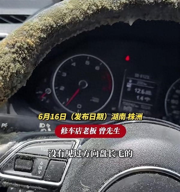 车停地库一个多月方向盘和座椅长满了霉菌!修车老板:从业多年头回见