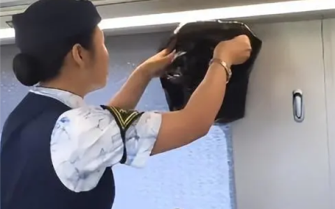 高铁行李架上惊现一条蛇！铁路部门回应：系旅客私自夹带