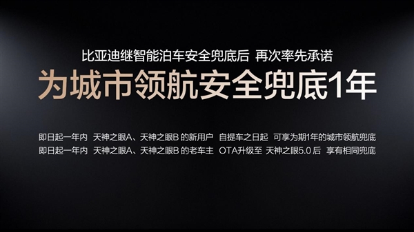 重估比亚迪 从智驾开始