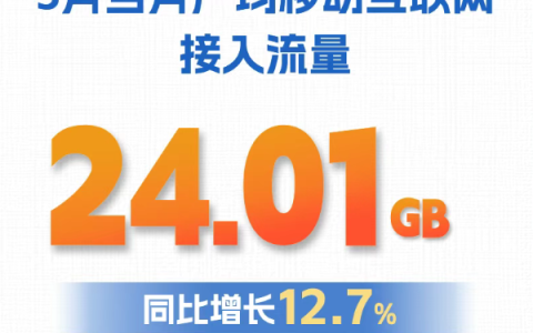 我国每人每月手机流量突破24GB 你拖后腿了吗