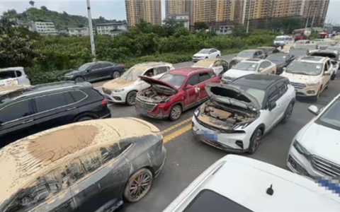 新能源车电池泡水 车主申请全损遭拒！法院判保险全赔