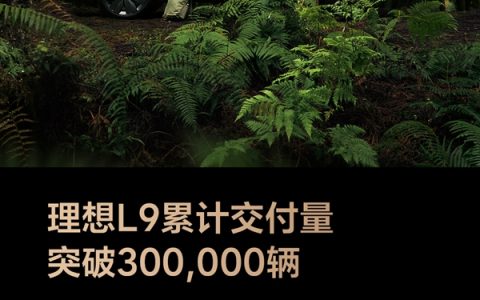 国产全尺寸新能源SUV“慈父”！理想L9累计交付突破30万辆