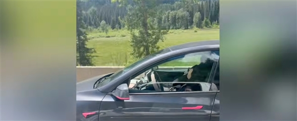 一副大墨镜骗过了特斯拉!司机开启FSD后睡着 车辆以时速100km狂奔