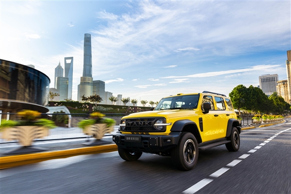 L113加长颜值大增 全新一代坦克300新能源预售:25.98万起