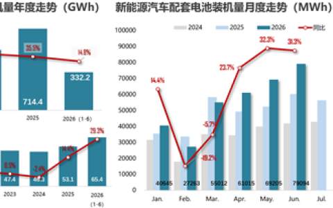 新能源汽车疯狂堆电池 单车平均电量超65度 大增近30%