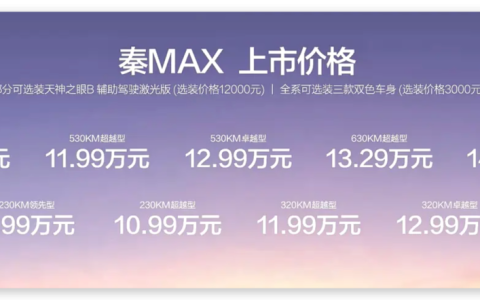 比亚迪新车，9.99万元起，刚刚开售！