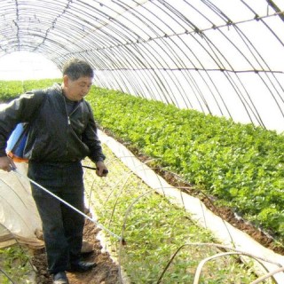 低温环境下电车的运行特性与可行性探讨，冬季电车使用指南