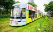 电车禁入之地，探究某大学禁止电车进入的背后原因